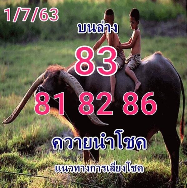 เลขเด็ดหวยควายนำโชค 1/7/63