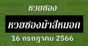 หวยซองม้าสีหมอก 16/7/66